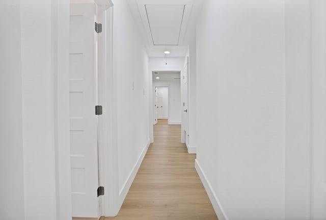 hallway featuring light wood-type flooring