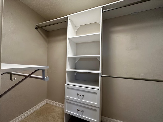 walk in closet featuring carpet flooring