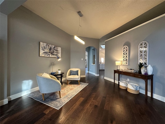 sitting room with lofted ceiling, a textured ceiling, and dark wood-type flooring