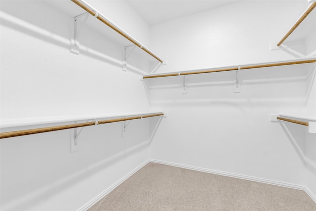 walk in closet featuring carpet floors