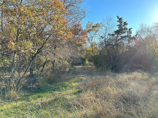 1625 Sanger Dr, Springtown, TX 76082