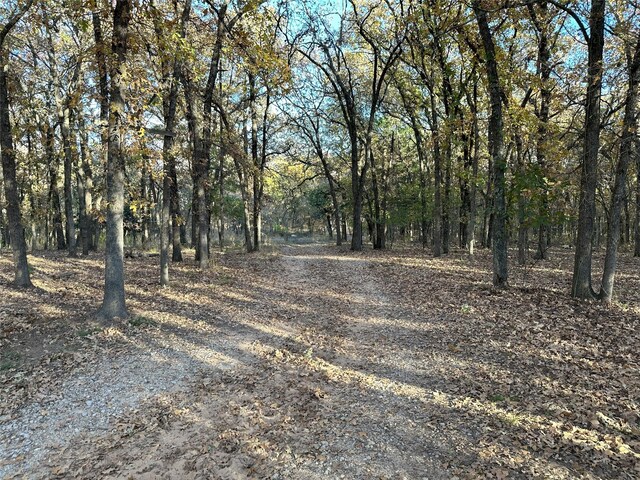1625 Sanger Dr, Springtown, TX 76082