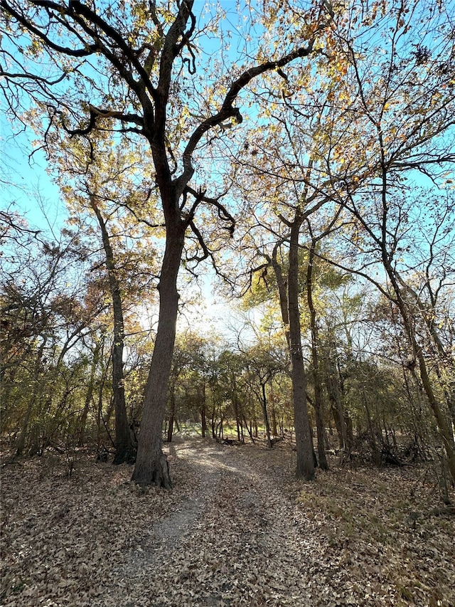 1625 Sanger Dr, Springtown, TX 76082