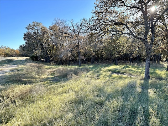 1625 Sanger Dr, Springtown, TX 76082