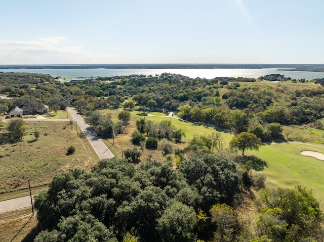 42019 Preston Trl, Whitney TX, 76692 land for sale