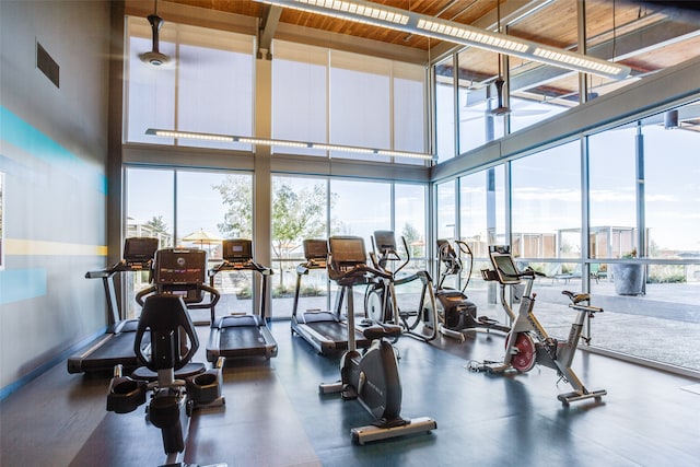 workout area featuring a high ceiling and expansive windows