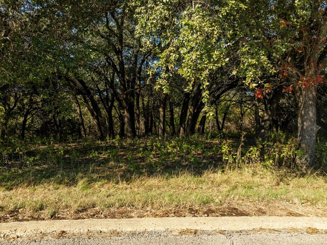 42018 Preston Trl, Whitney, TX 76692