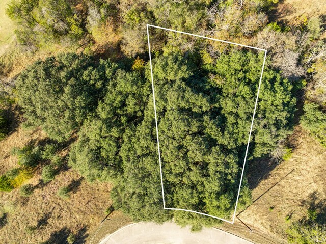 42018 Preston Trl, Whitney, TX 76692