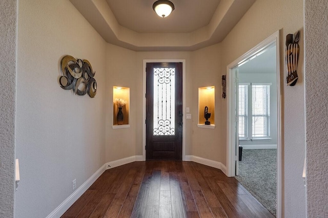 entrance foyer featuring dark hardwood / wood-style floors and a tray ceiling