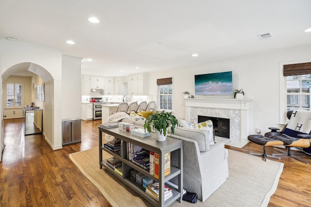 living room featuring wood-type flooring, a healthy amount of sunlight, and a fireplace