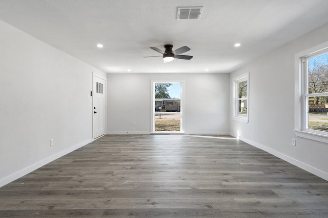 spare room featuring a wealth of natural light and dark wood-type flooring