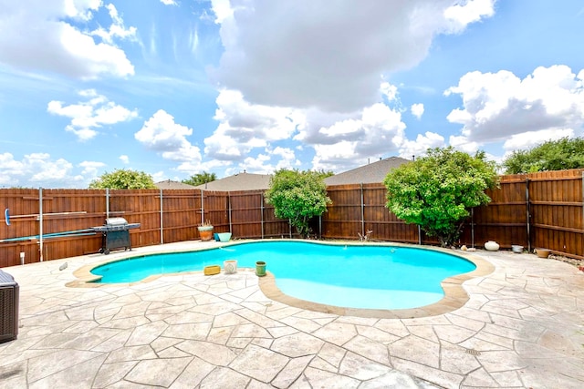 view of swimming pool with a grill and a patio area