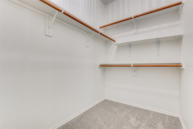 spacious closet featuring carpet