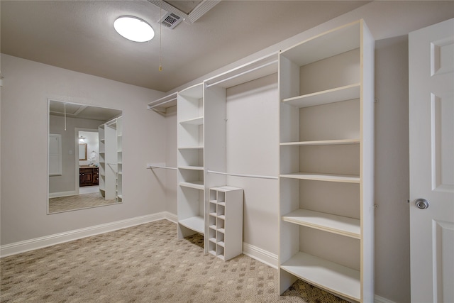 walk in closet featuring carpet flooring