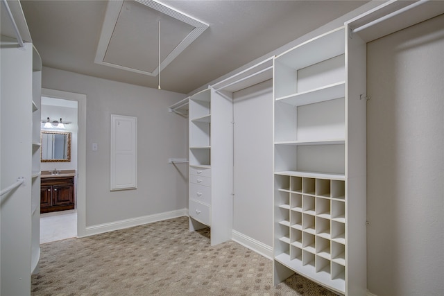 spacious closet featuring light colored carpet