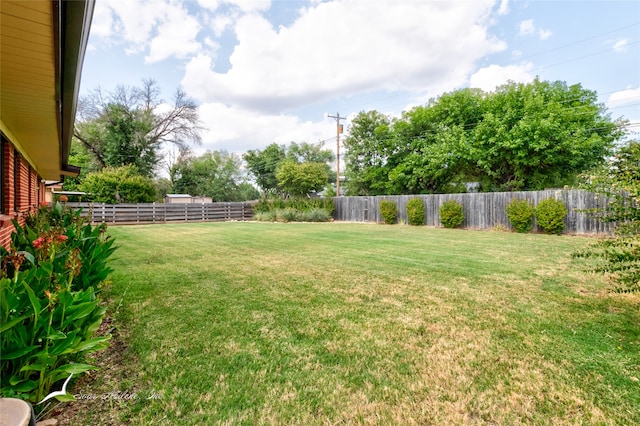 view of yard