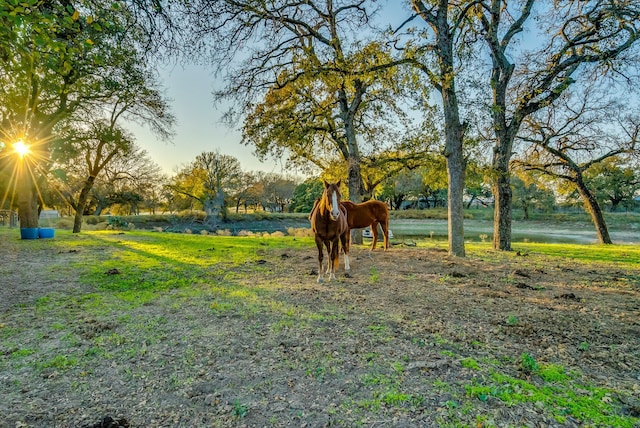 view of yard with a rural view