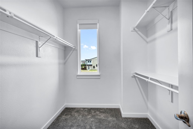 walk in closet featuring dark carpet