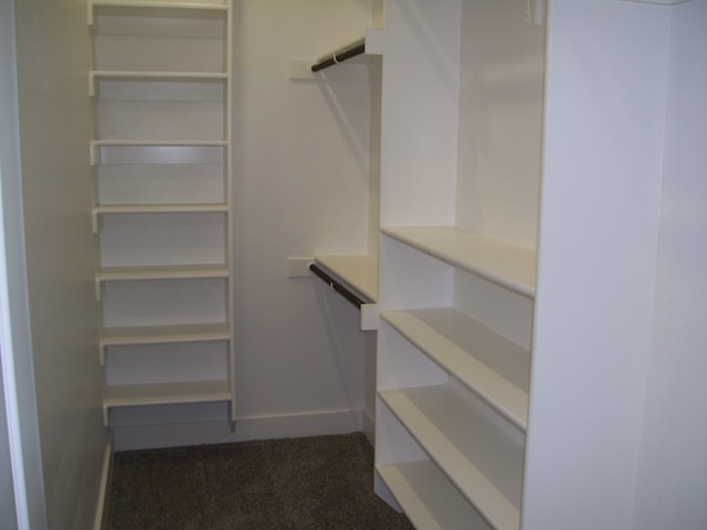 walk in closet with dark carpet