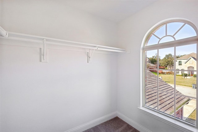 spacious closet featuring carpet