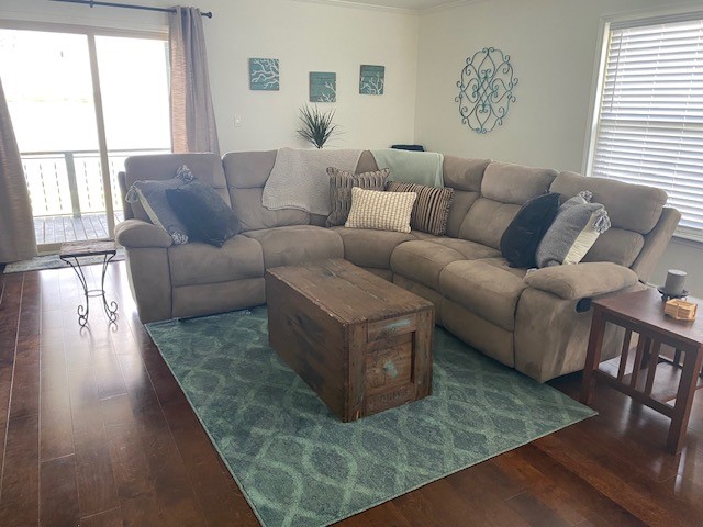 living room with dark hardwood / wood-style floors, a healthy amount of sunlight, and crown molding