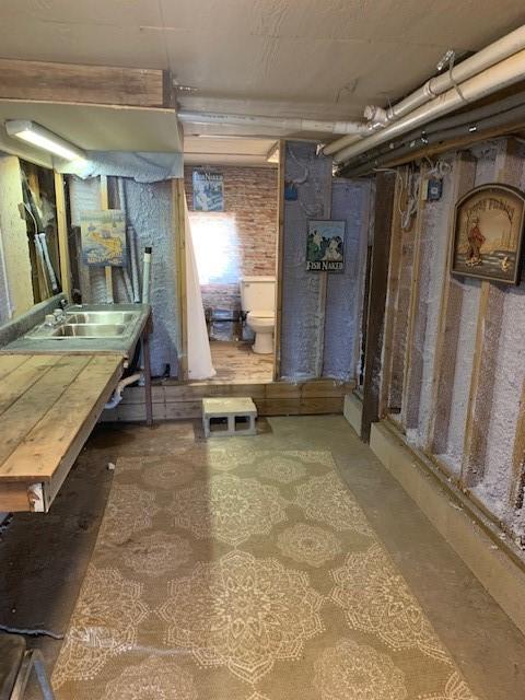 basement featuring sink