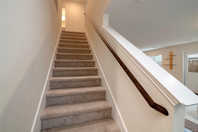 stairs with carpet flooring