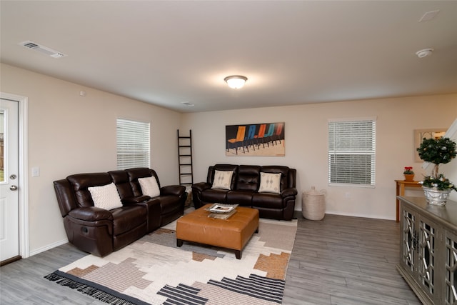 living room with wood-type flooring