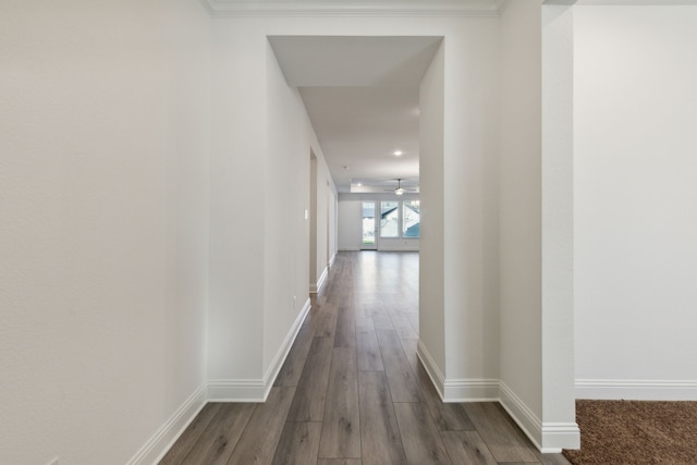 hallway with crown molding and dark hardwood / wood-style flooring