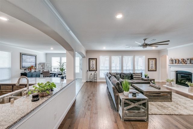 living room featuring a healthy amount of sunlight, ornamental molding, dark wood-type flooring, and sink