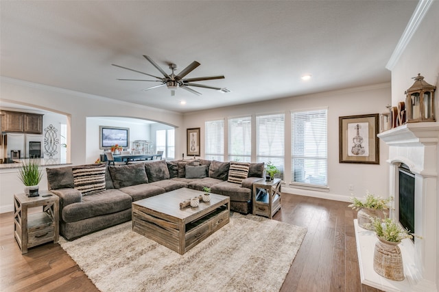 living room with ceiling fan, crown molding, and hardwood / wood-style flooring