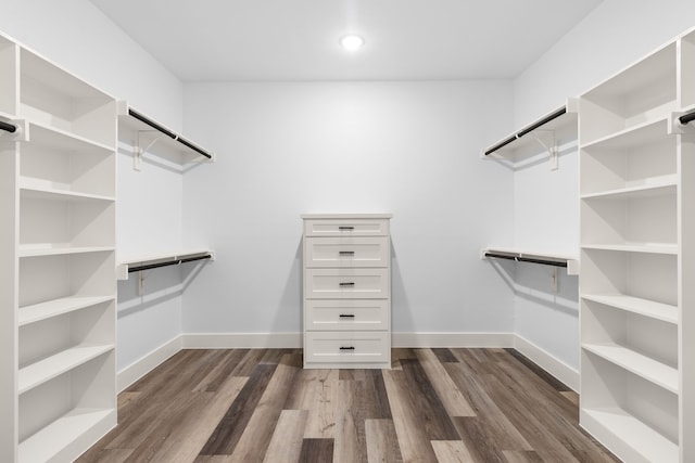 walk in closet featuring dark wood-type flooring