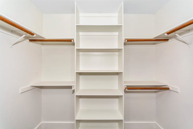 view of spacious closet