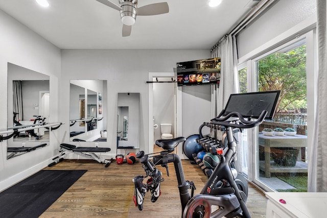 exercise area with ceiling fan and wood-type flooring