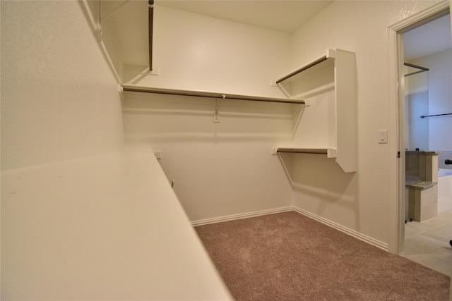 spacious closet with carpet floors