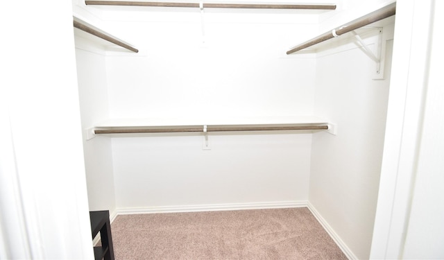 walk in closet with light colored carpet