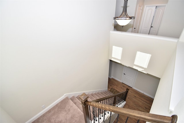 staircase with wood-type flooring