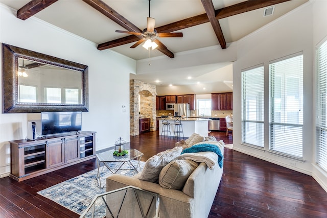 living room with beamed ceiling, a healthy amount of sunlight, dark hardwood / wood-style flooring, and crown molding