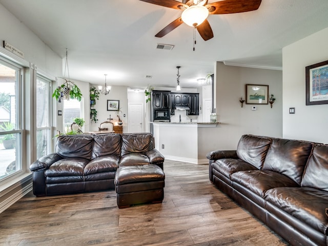 living room with ceiling fan with notable chandelier, dark hardwood / wood-style flooring, and crown molding