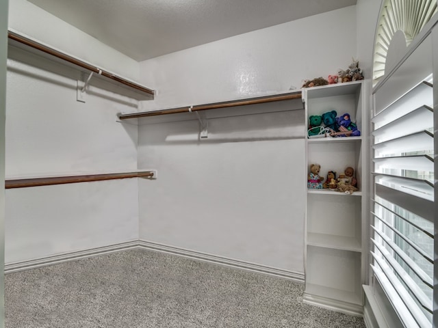 spacious closet featuring carpet floors