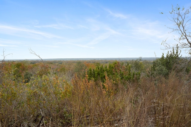 Listing photo 3 for TBD Brock Highway, Lipan TX 76462