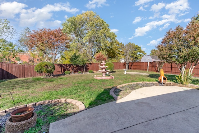 view of yard featuring a patio area