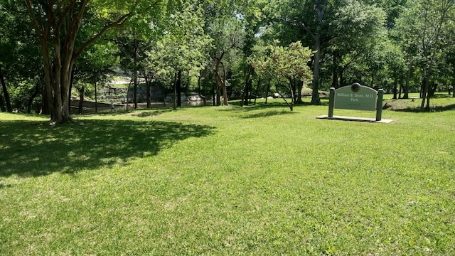 view of green lawn