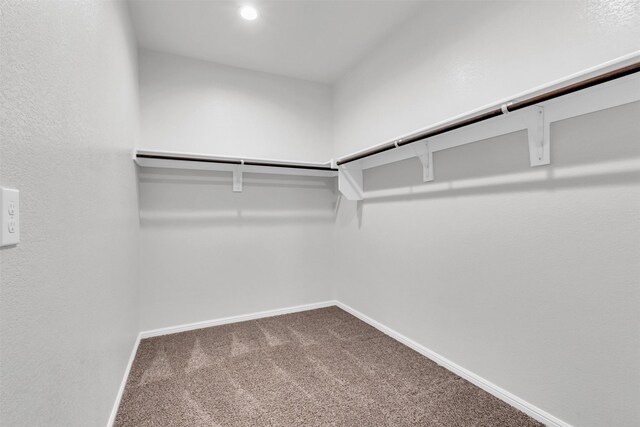 spacious closet with carpet