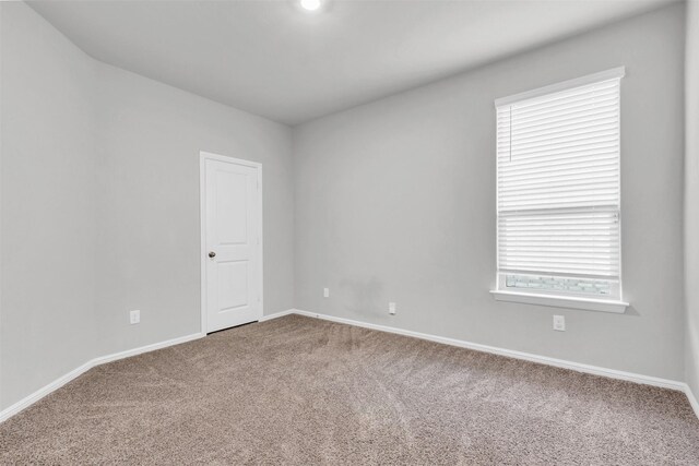 carpeted empty room featuring a wealth of natural light