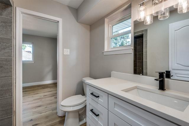 bathroom featuring hardwood / wood-style floors, vanity, and toilet