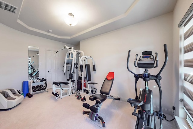 workout area featuring a tray ceiling and carpet floors