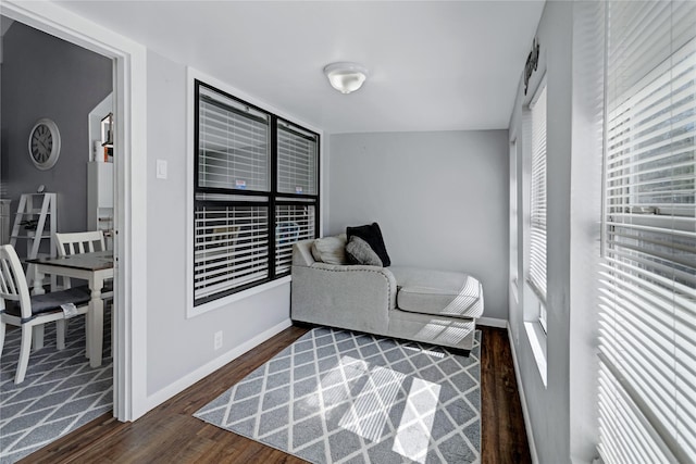 interior space featuring dark hardwood / wood-style flooring