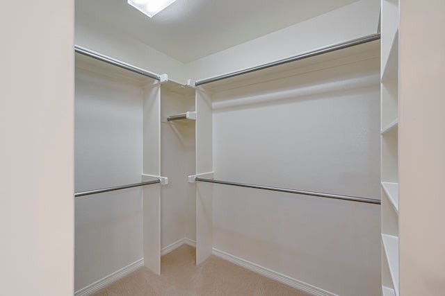 spacious closet featuring light colored carpet