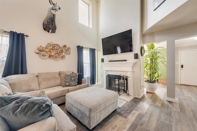 living room with wood-type flooring, crown molding, and a high ceiling